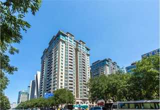 云南大型装箱机大概价格